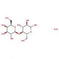 D-Lactose Monohydrate (Powder/NF), Fisher Chemical