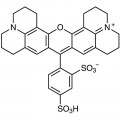 Sulforhodamine 101
