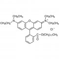Octadecyl Rhodamine B Chloride