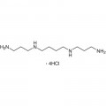 N,N'-Bis(3-aminopropyl)-1,4-butanediamine Tetrahydrochloride