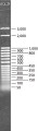 DirectLoad™ 50 bp DNA Step Ladder