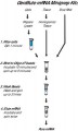 GenElute™ Direct mRNA Miniprep Kits