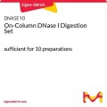 On-Column DNase I Digestion Set