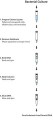 GenElute™ Endotoxin-free Plasmid Maxiprep Kit