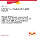CAMKK1, active, GST tagged human