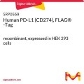 Human PD-L1 (CD274), FLAG® -Tag