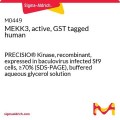 MEKK3, active, GST tagged human