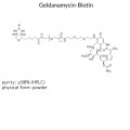 Geldanamycin-Biotin