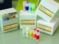SLAM-VproS-¹³CH₃ Methyl Labeling Kit