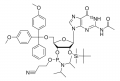 DMT-2′O-TBDMS-rG(ac)-1-¹⁵N phosphoramidite