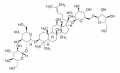 Ginsenoside-Rc from Panax ginseng (Korean ginseng) root