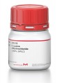ʟ-Lysine dihydrochloride