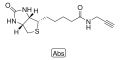 Biotin Alkyne