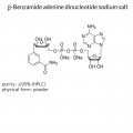 β-Benzamide adenine dinucleotide sodium salt