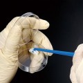 TWD BioX Cell Scraper