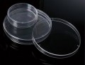 TWD BioX Petri Dish