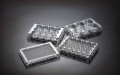 TWD BioX Tissue Culture Plates