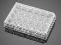Corning® PureCoat™ Collagen I Peptide Multiwell Plate