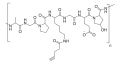 Alkyne functionalized gelatin