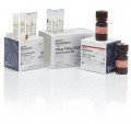 Yfiler™ Plus PCR Amplification Kit, 100 reactions
