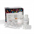 HisPur™ Cobalt Purification Kit, 1 mL