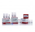 MAGnify™ Chromatin Immunoprecipitation System