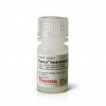 Pierce™ Iminobiotin Agarose
