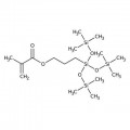 3-(Methacryloyloxy)propyltris(trimethylsiloxy)silane, 98%