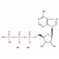 Adenosine-5'-triphosphate disodium salt hydrate, ultrapure, 98%