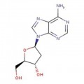 2'-Deoxyadenosine, 99%