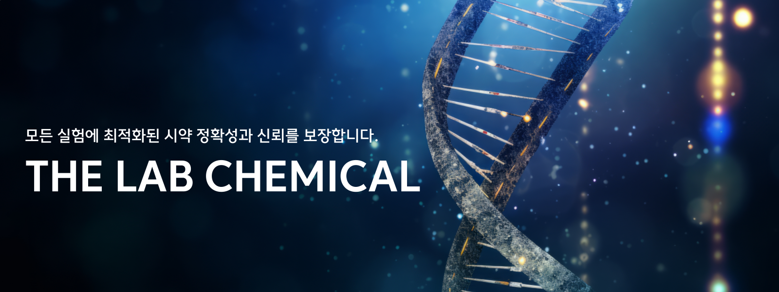 메인 비주얼