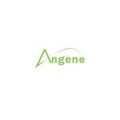 (R)-2-(4-Methyl-5-thiazolyl)-6,7,8,9-tetrahydro-5H-benzo[7]annulen-5-amine Hydrochloride