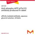 Anti-phospho-APP (pThr⁶⁶⁸) antibody produced in rabbit