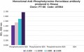 Monoclonal Anti-Phosphotyrosine–Peroxidase antibody produced in mouse