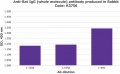 Anti-Rat IgG (whole molecule) antibody produced in rabbit