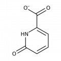 6-Hydroxypyridine-2-carboxylic acid, 95%