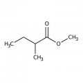 Methyl 2-methylbutyrate, 98%, Thermo Scientific Chemicals