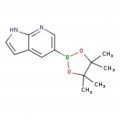 7-Azaindole-5-boronic acid pinacol ester, 97%, Thermo Scientific™