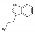 Tryptamine, 98+%